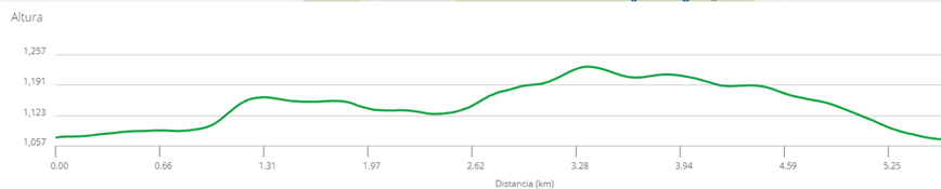 Profile_U18_palencia.png