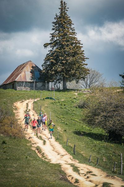 SMLcyrille quintard eurotrailfeclaz 6I2A2409