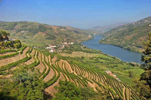 SmallDouro Region